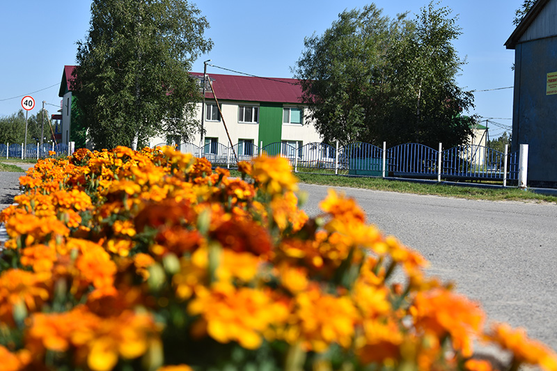 Сельское поселение Каркатеевы.