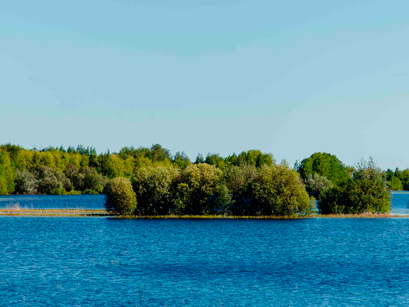 Паводковая обстановка на 2 сентября.