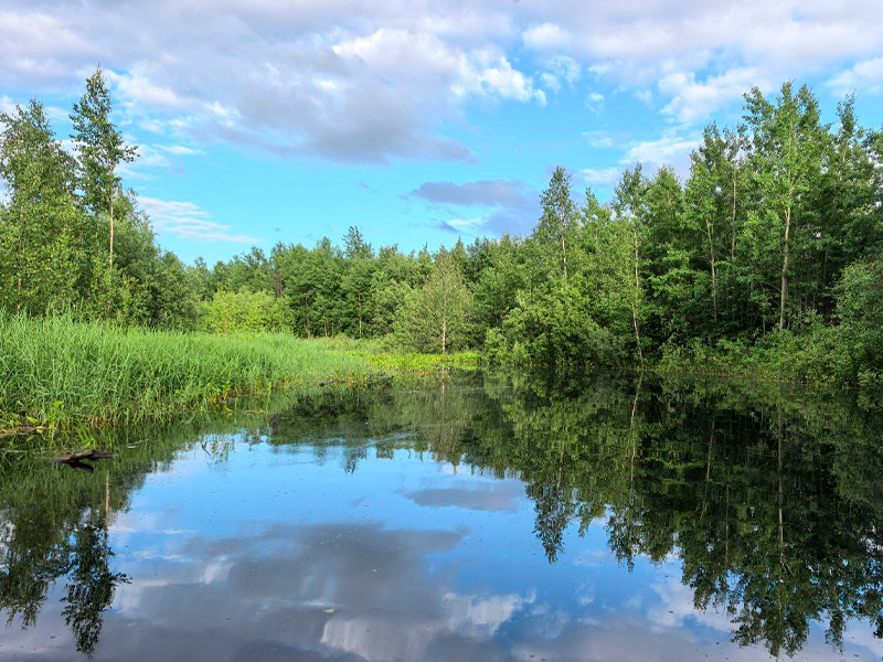 Паводковая обстановка на 26 августа.
